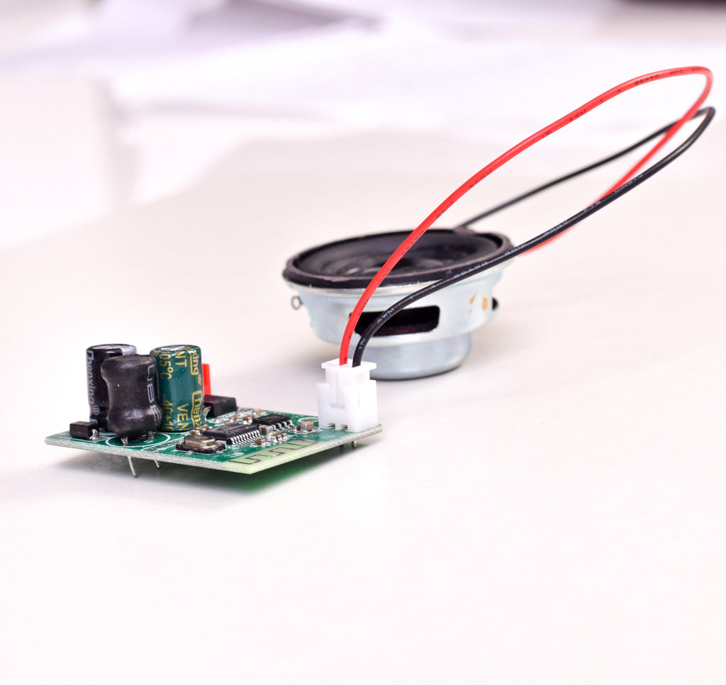 ADD-ON: Bluetooth Module and Speaker - Hoverboard Repair Parts - 2